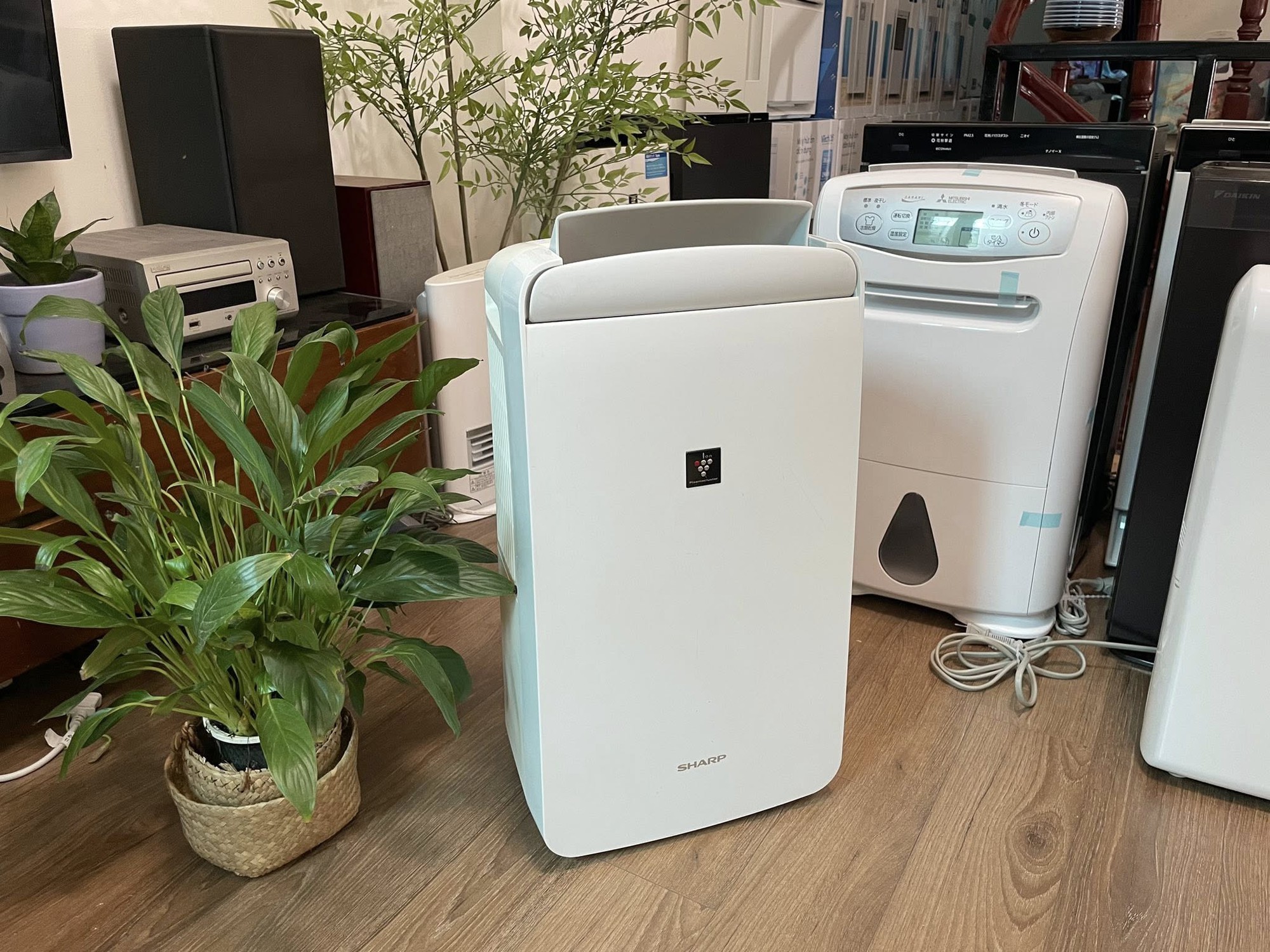 M&oacute;n đồ hot nhất l&uacute;c n&agrave;y, đại l&yacute; nhập gấp 10 lần vẫn kh&ocirc;ng kịp b&aacute;n- Ảnh 1.