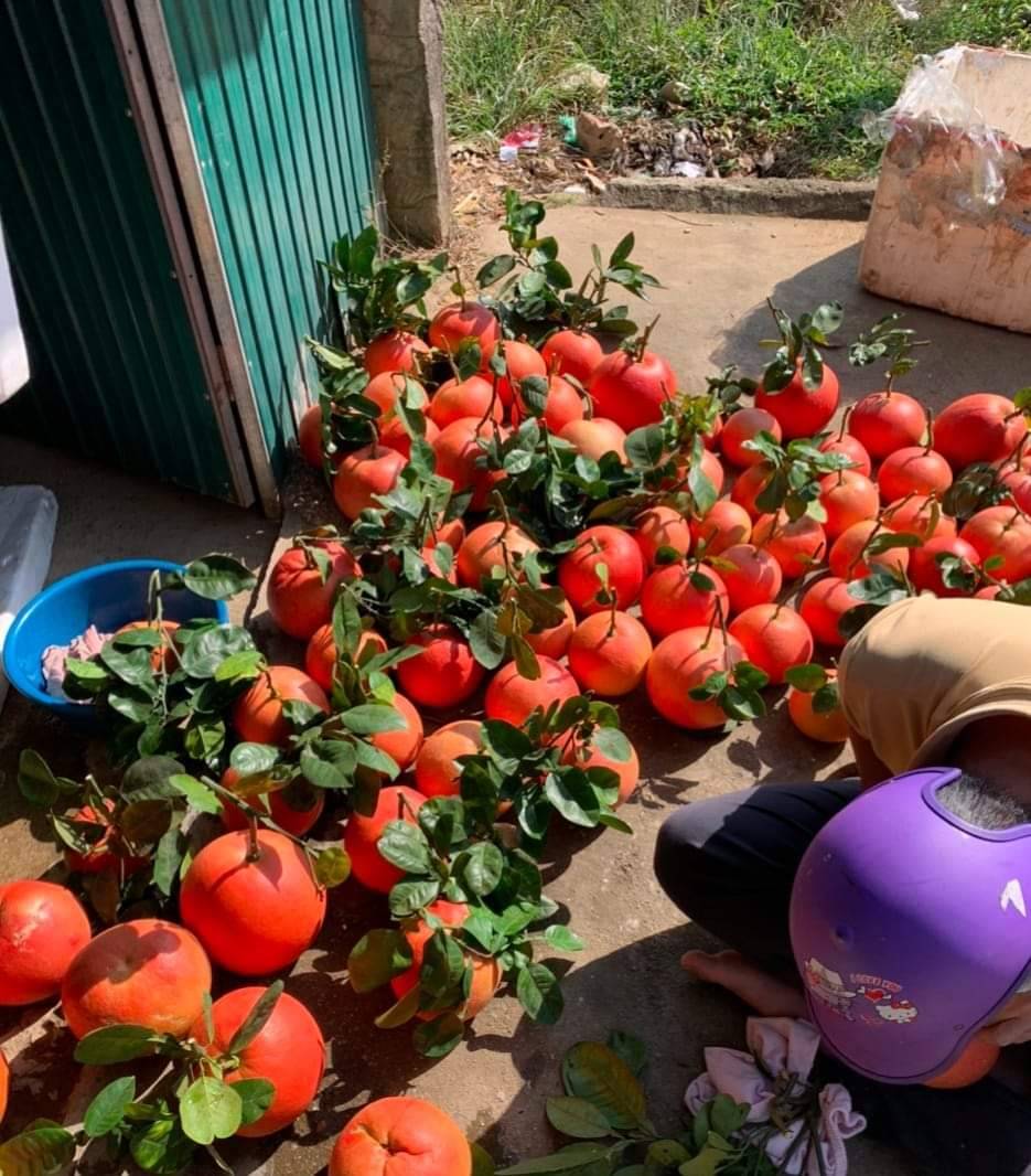 Cảnh b&aacute;o đặc biệt tới c&aacute;c gia đ&igrave;nh đang b&agrave;y bưởi ng&agrave;y Tết- Ảnh 2.