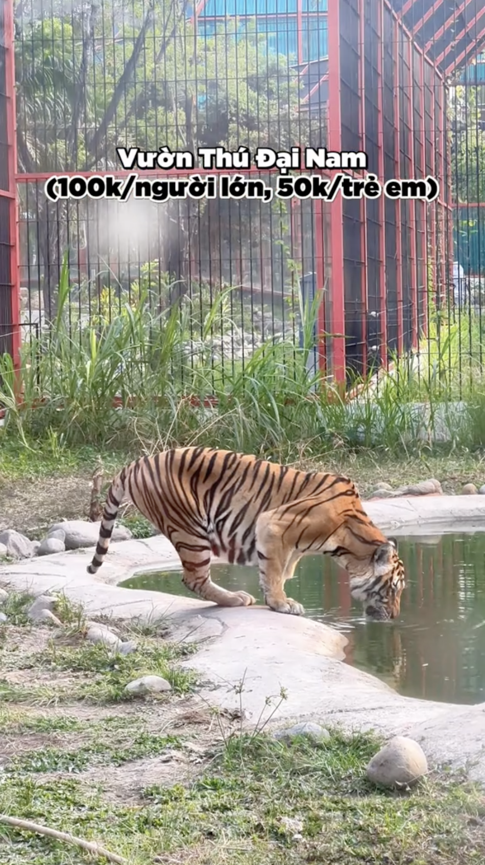 Sốc trước gi&aacute; 23 tr&ograve; chơi trong KDL Đại Nam của b&agrave; Nguyễn Phương Hằng: Cầm 500.000 đồng liệu chơi được mấy tr&ograve;?- Ảnh 24.