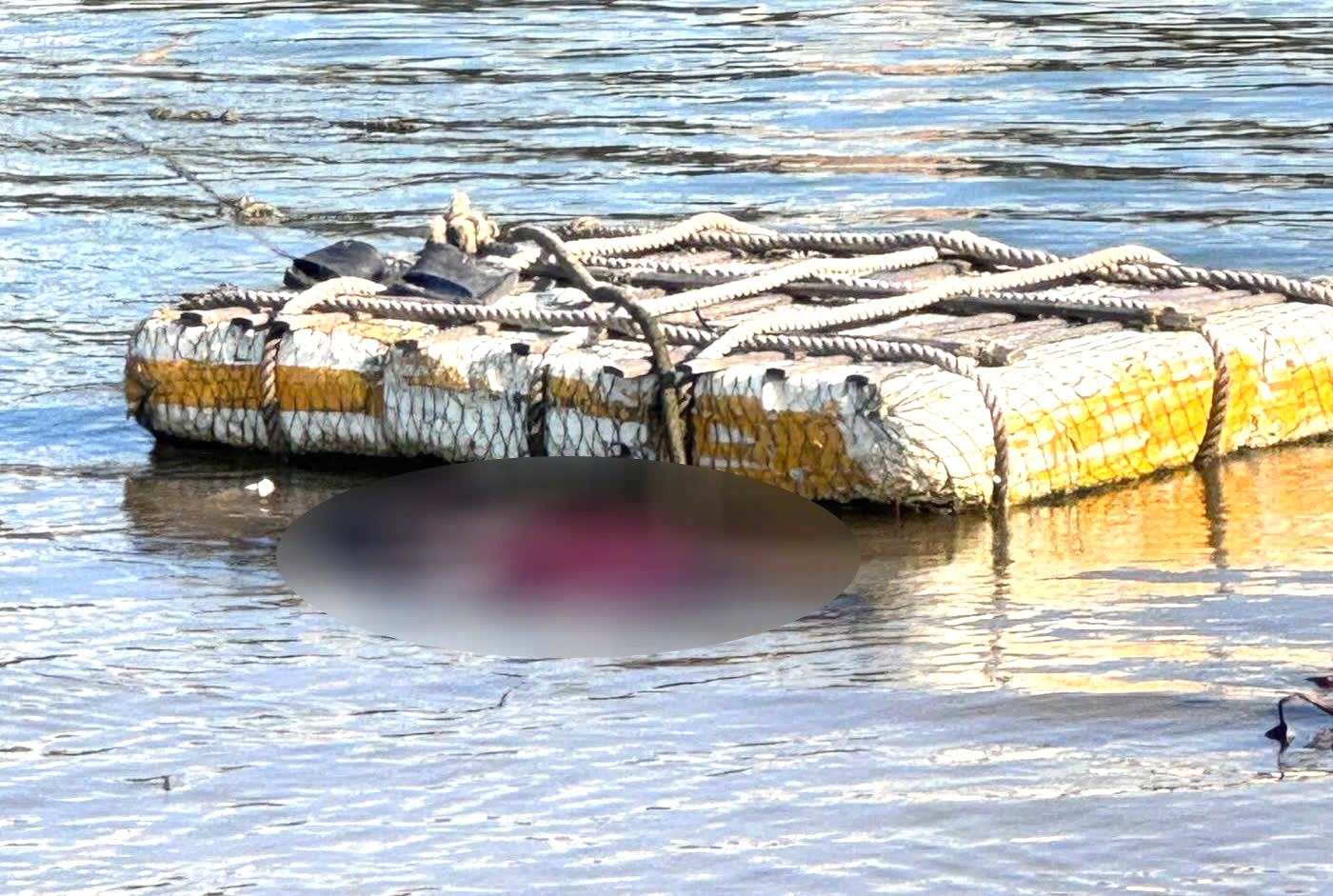 Thi thể nghi nữ giới trôi dạt vào cửa biển Nhật Lệ- Ảnh 1. Thi thể nghi nữ giới trôi dạt vào cửa biển Nhật Lệ- Ảnh 1.