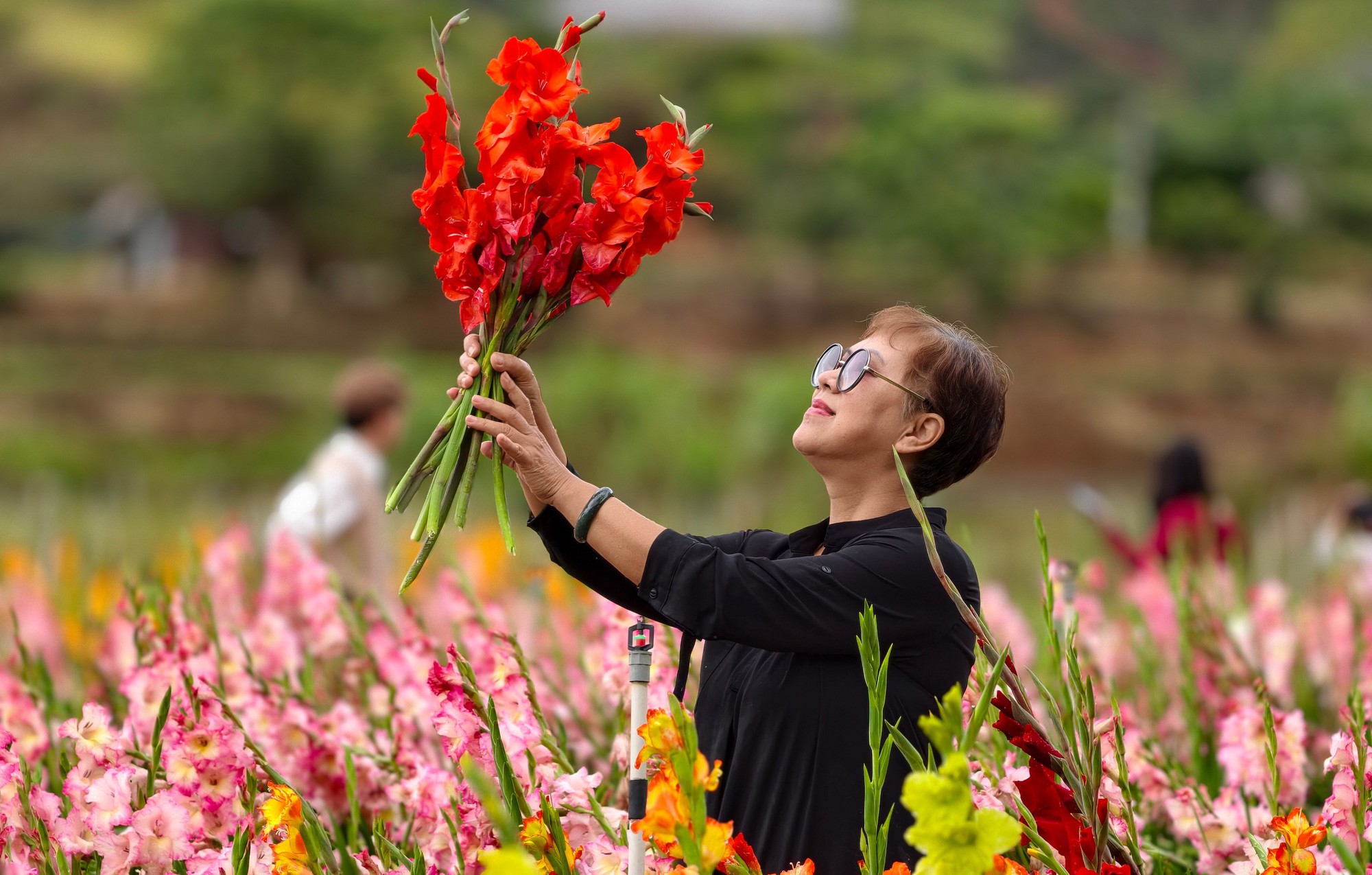 Vườn hoa lay-ơn nở muộn bất ngờ trở nên rất hot ở Đà Lạt- Ảnh 9. Vườn hoa lay-ơn nở muộn bất ngờ trở nên rất hot ở Đà Lạt- Ảnh 9.