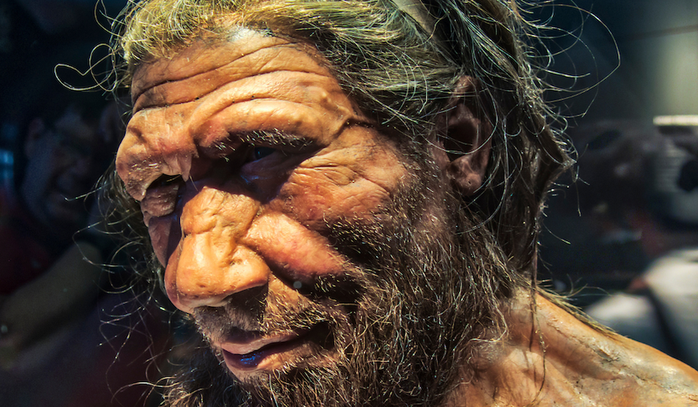 Những phụ nữ lấy chồng kh&aacute;c lo&agrave;i: DNA "ma" ở lo&agrave;i người được giải m&atilde;- Ảnh 1.