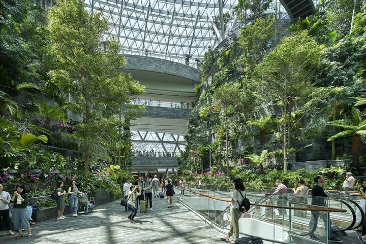 S&acirc;n bay Changi tốt nhất thế giới đẹp v&agrave; hiện đại cỡ n&agrave;o?- Ảnh 8.