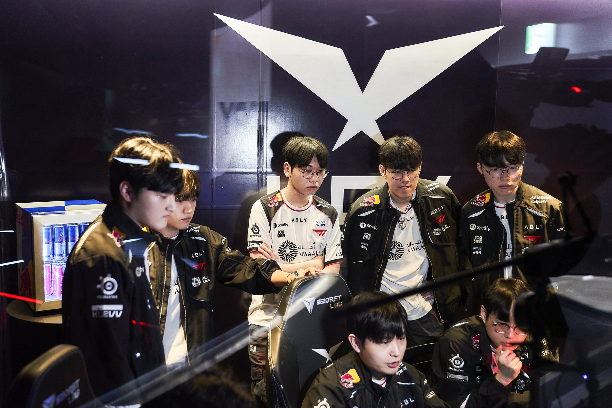 T1 bị loại c&oacute; thể 