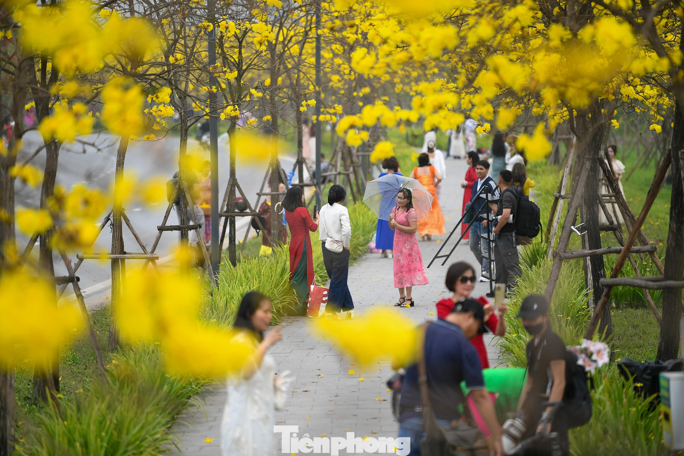Đổ x&ocirc; check-in đường hoa phong linh rực rỡ nhất Thủ đ&ocirc;- Ảnh 12.