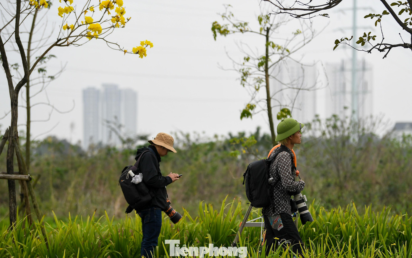 Đổ x&ocirc; check-in đường hoa phong linh rực rỡ nhất Thủ đ&ocirc;- Ảnh 15.