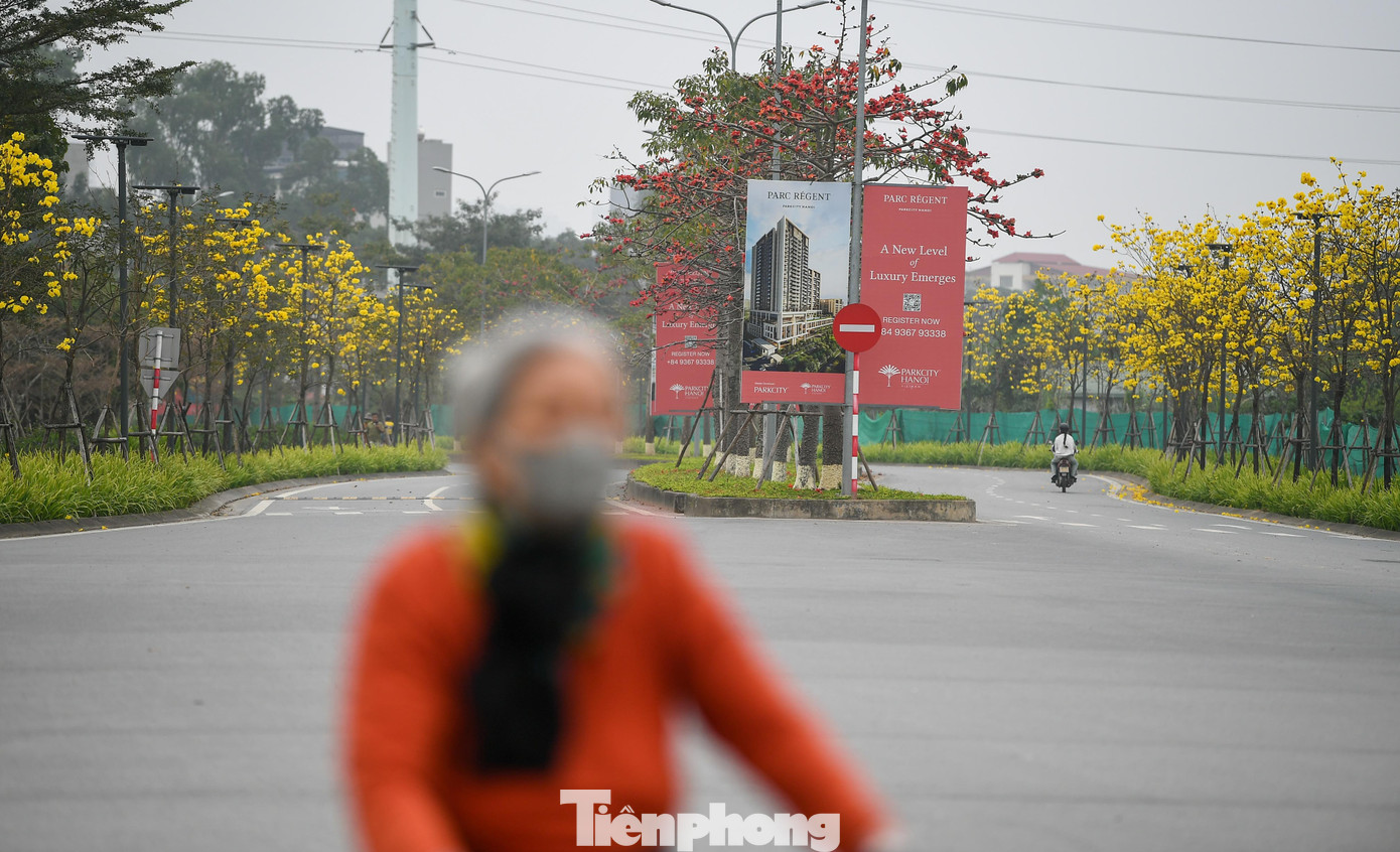 Đổ x&ocirc; check-in đường hoa phong linh rực rỡ nhất Thủ đ&ocirc;- Ảnh 14.