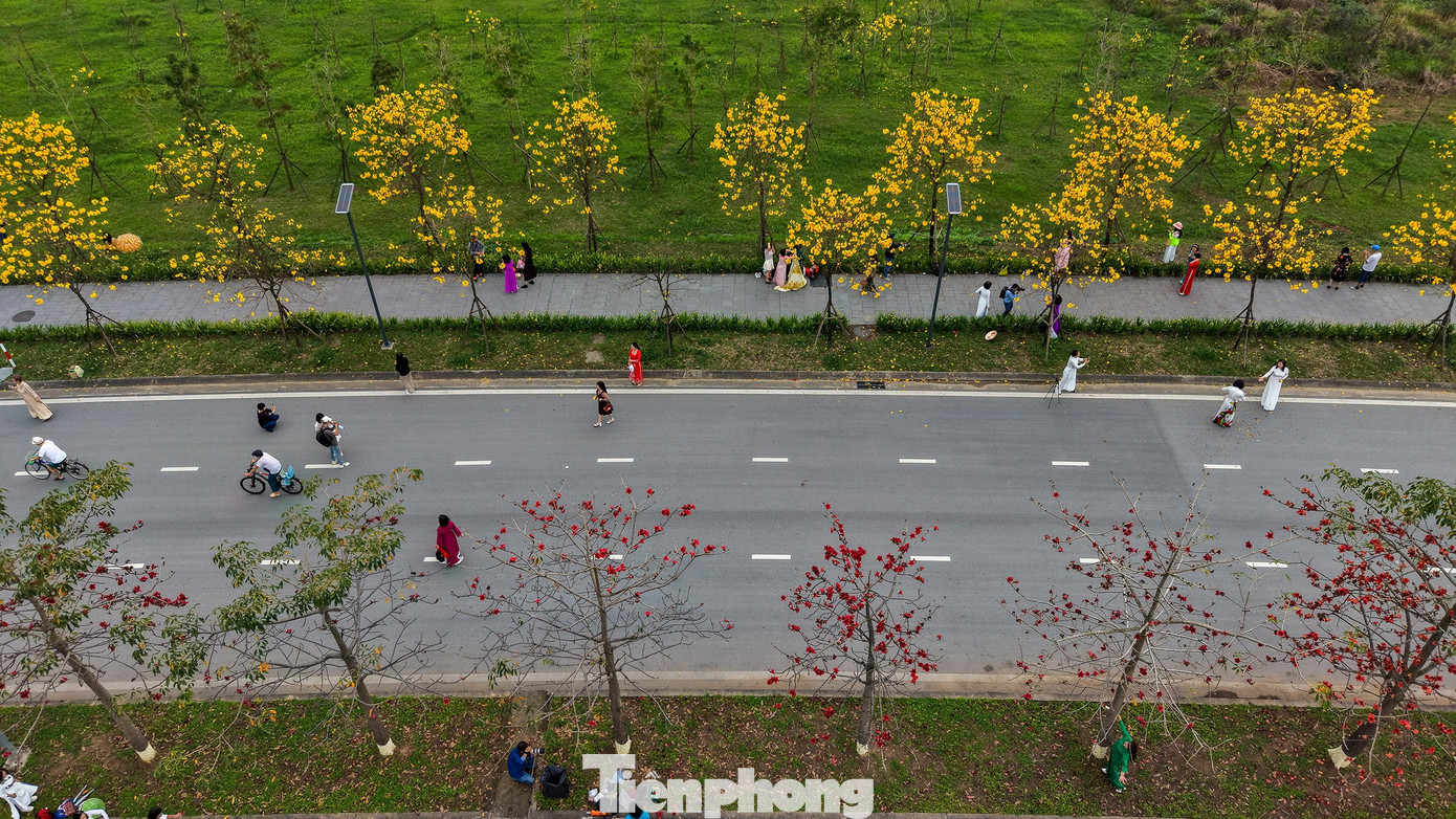 Đổ x&ocirc; check-in đường hoa phong linh rực rỡ nhất Thủ đ&ocirc;- Ảnh 2.
