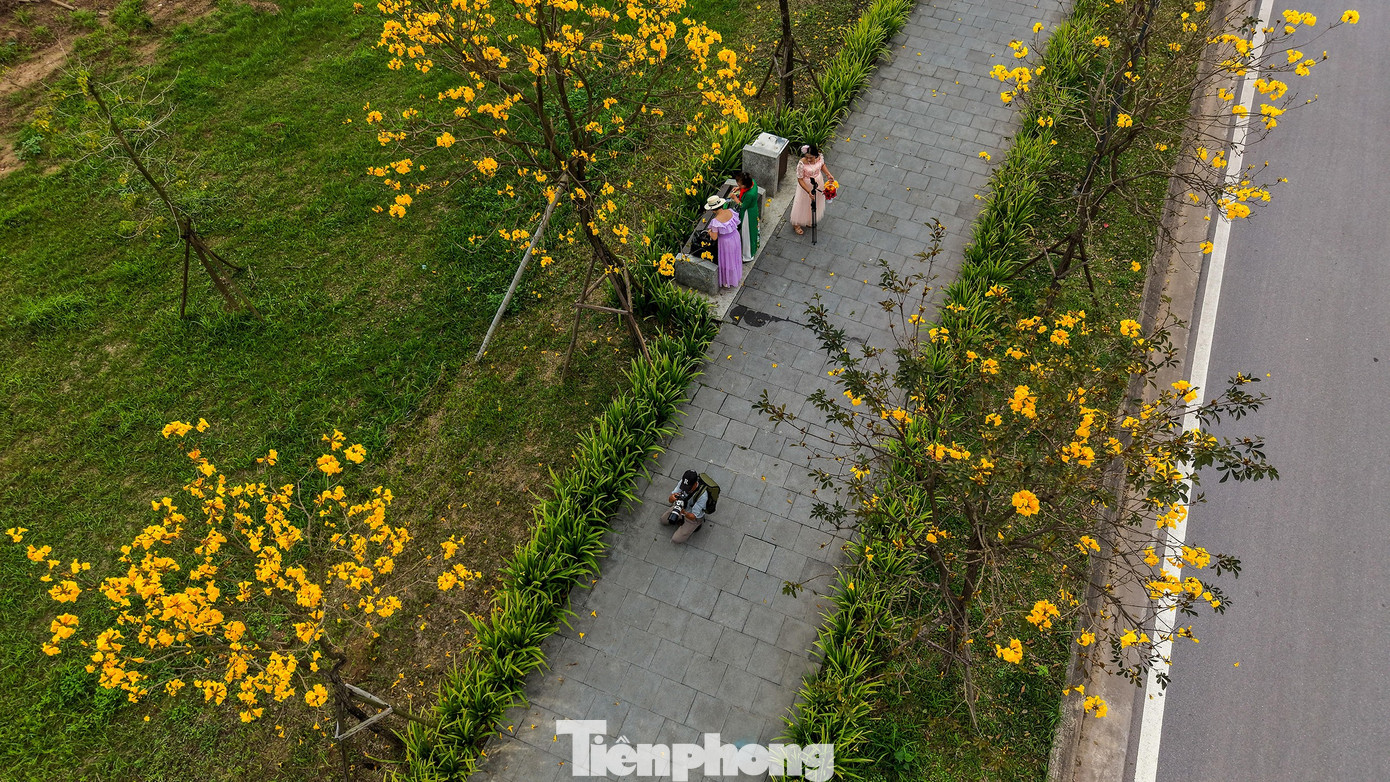 Đổ x&ocirc; check-in đường hoa phong linh rực rỡ nhất Thủ đ&ocirc;- Ảnh 13.