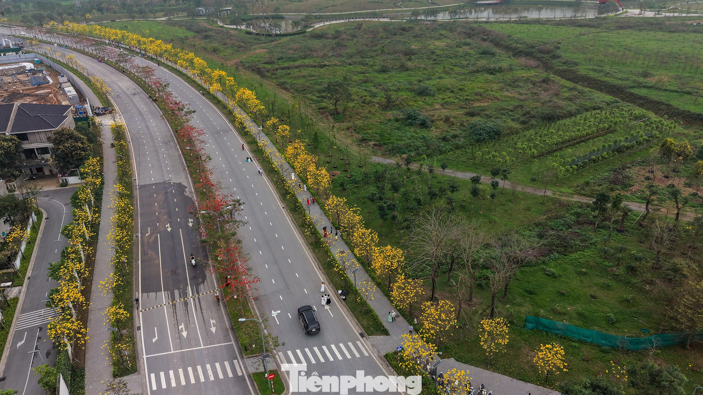 Đổ x&ocirc; check-in đường hoa phong linh rực rỡ nhất Thủ đ&ocirc;- Ảnh 1.