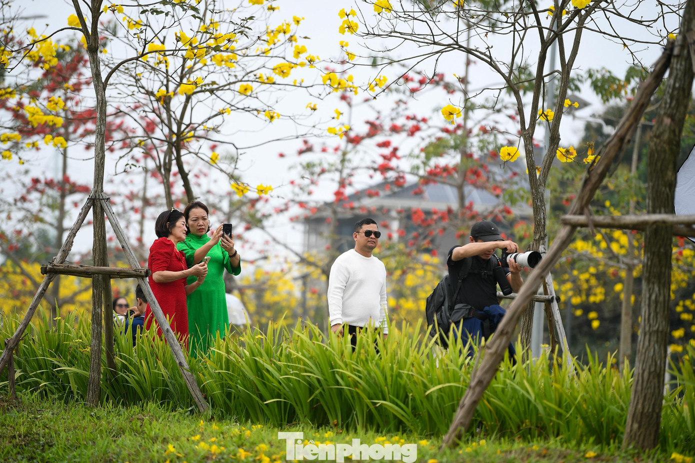 Đổ x&ocirc; check-in đường hoa phong linh rực rỡ nhất Thủ đ&ocirc;- Ảnh 5.