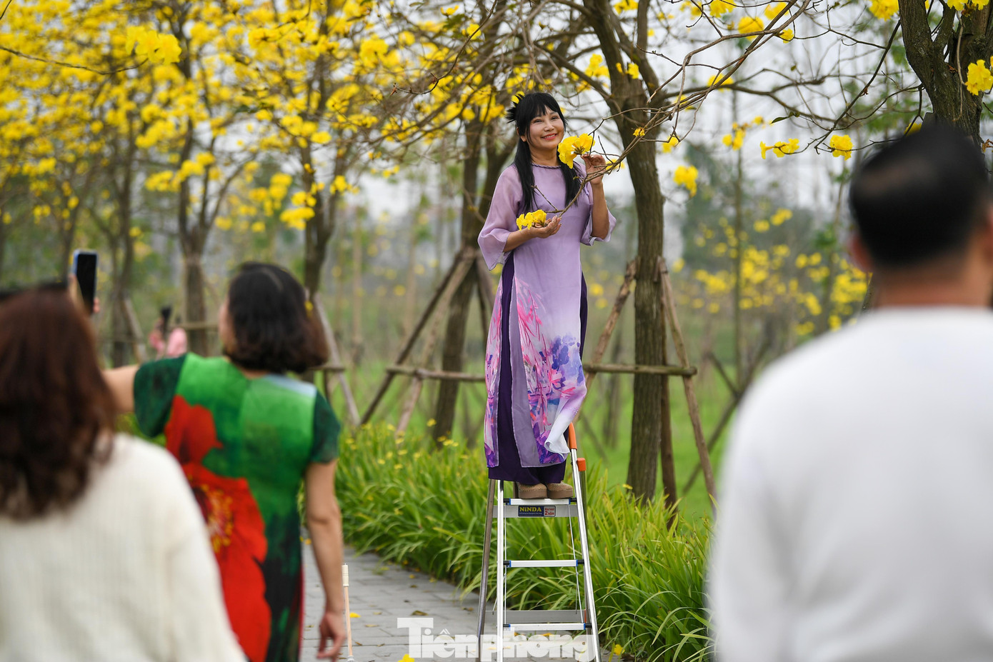 Đổ x&ocirc; check-in đường hoa phong linh rực rỡ nhất Thủ đ&ocirc;- Ảnh 9.