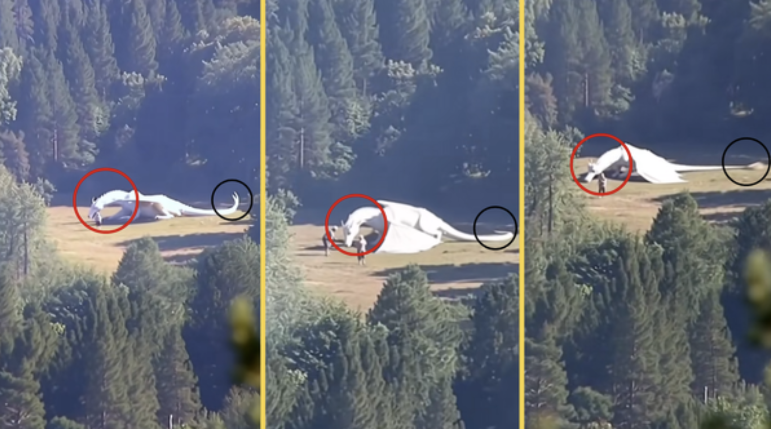 Xôn xao video "rồng trắng" tại cơ sở bí mật của Trung Quốc: Sự thật khiến dân mạng ngỡ ngàng- Ảnh 1. Xôn xao video "rồng trắng" tại cơ sở bí mật của Trung Quốc: Sự thật khiến dân mạng ngỡ ngàng- Ảnh 1.