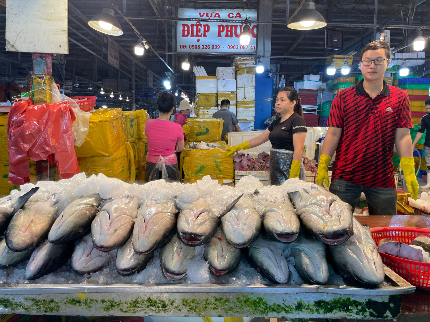 Lạc lối ở chợ đầu mối, săn sản vật 'ngon, size khủng' với gi&aacute; rẻ kh&ocirc;ng tưởng về ăn Tết- Ảnh 5.