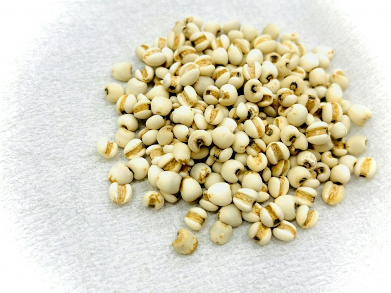 Cô gái 28 tuổi chức năng thận giảm còn một nửa vì uống 1 thứ không ai nghĩ tới để giảm cân- Ảnh 3.