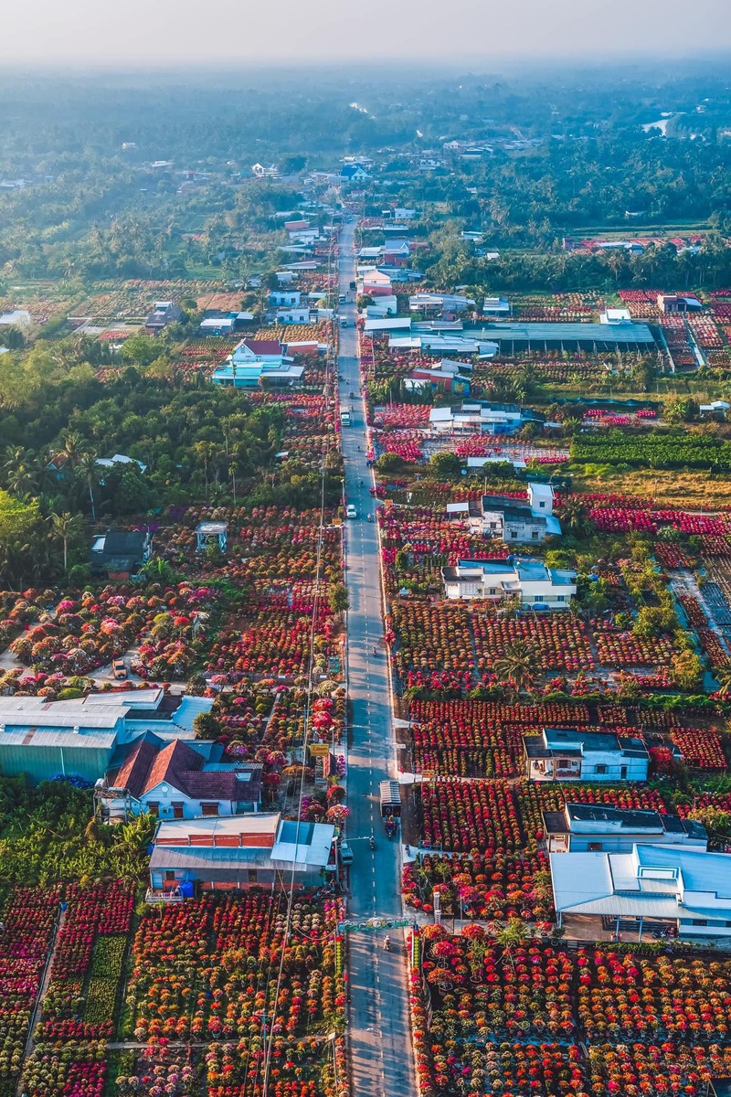 L&agrave;ng hoa miền T&acirc;y đẹp nhất Việt Nam, cả nước sững sờ- Ảnh 4.