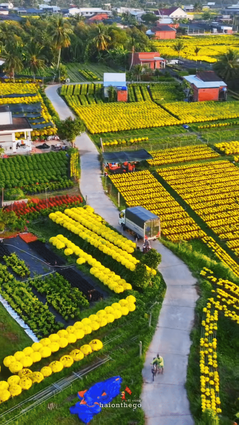 L&agrave;ng hoa miền T&acirc;y đẹp nhất Việt Nam, cả nước sững sờ- Ảnh 1.