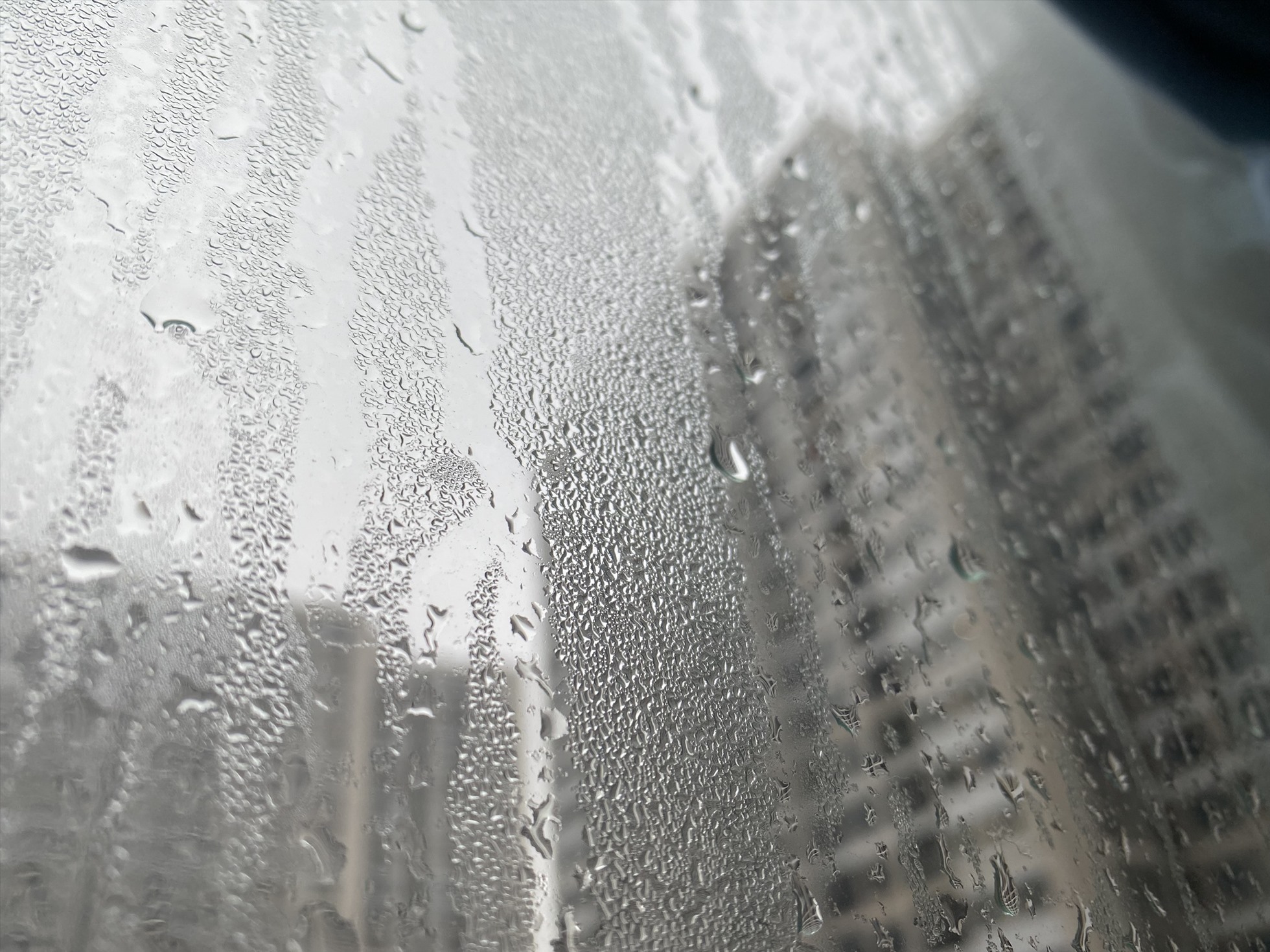 Khi n&agrave;o trời bắt đầu nồm ẩm?- Ảnh 1.