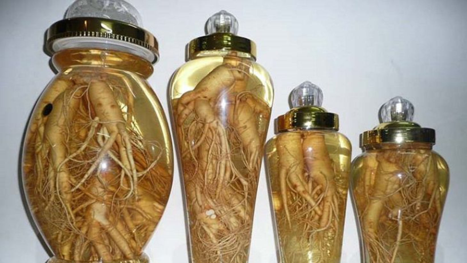 1 lưu &yacute; quan trọng bất cứ ai uống rượu đinh lăng đều phải biết- Ảnh 2.