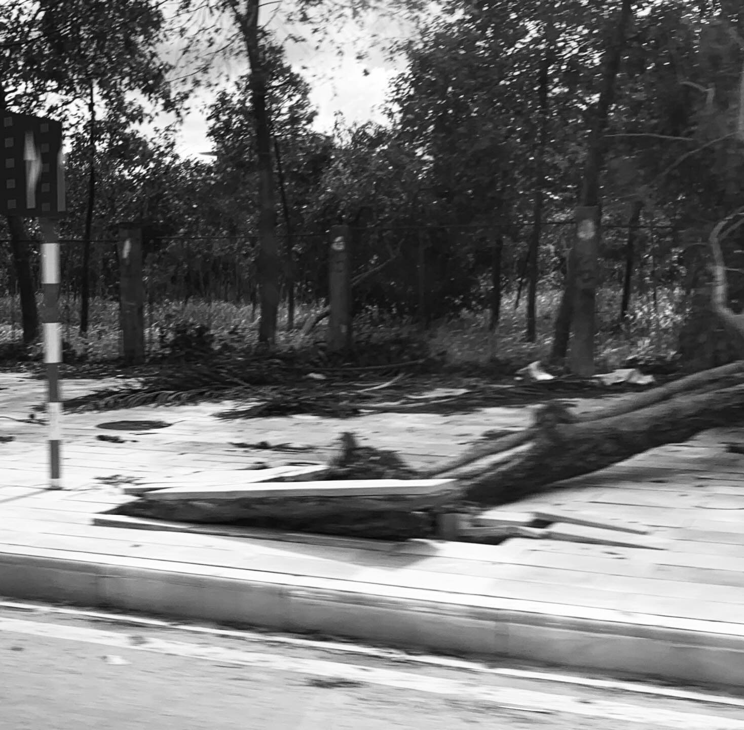 Tr&agrave;n ngập chia sẻ về Hoa Ban Nhỏ B&eacute;: Kh&oacute;c ngay khi nghe c&acirc;u đầu ti&ecirc;n, biết thương nhau từ gian nan đ&atilde; qua!- Ảnh 2.