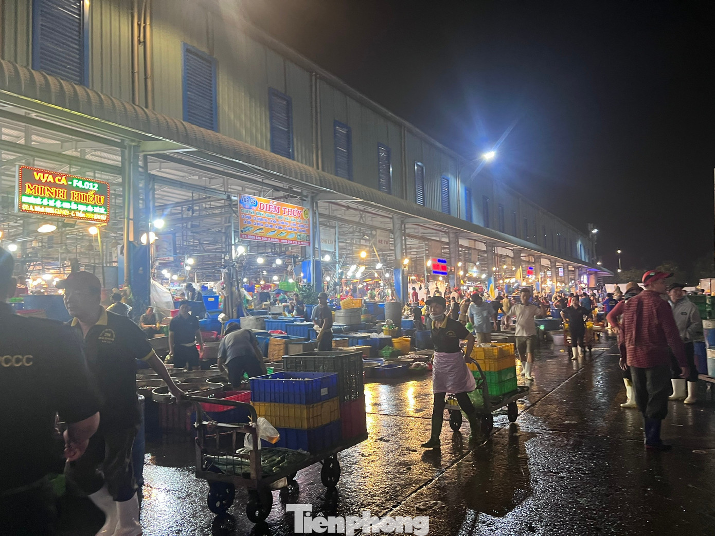 Lạc lối ở chợ đầu mối, săn sản vật 'ngon, size khủng' với gi&aacute; rẻ kh&ocirc;ng tưởng về ăn Tết- Ảnh 14.