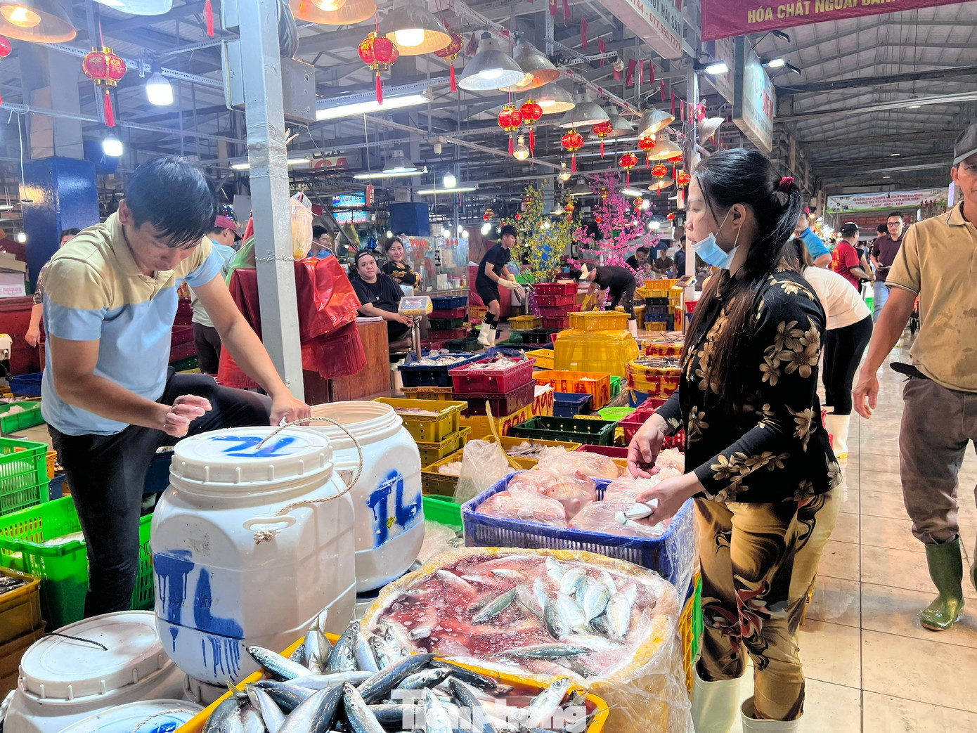 Lạc lối ở chợ đầu mối, săn sản vật 'ngon, size khủng' với gi&aacute; rẻ kh&ocirc;ng tưởng về ăn Tết- Ảnh 13.