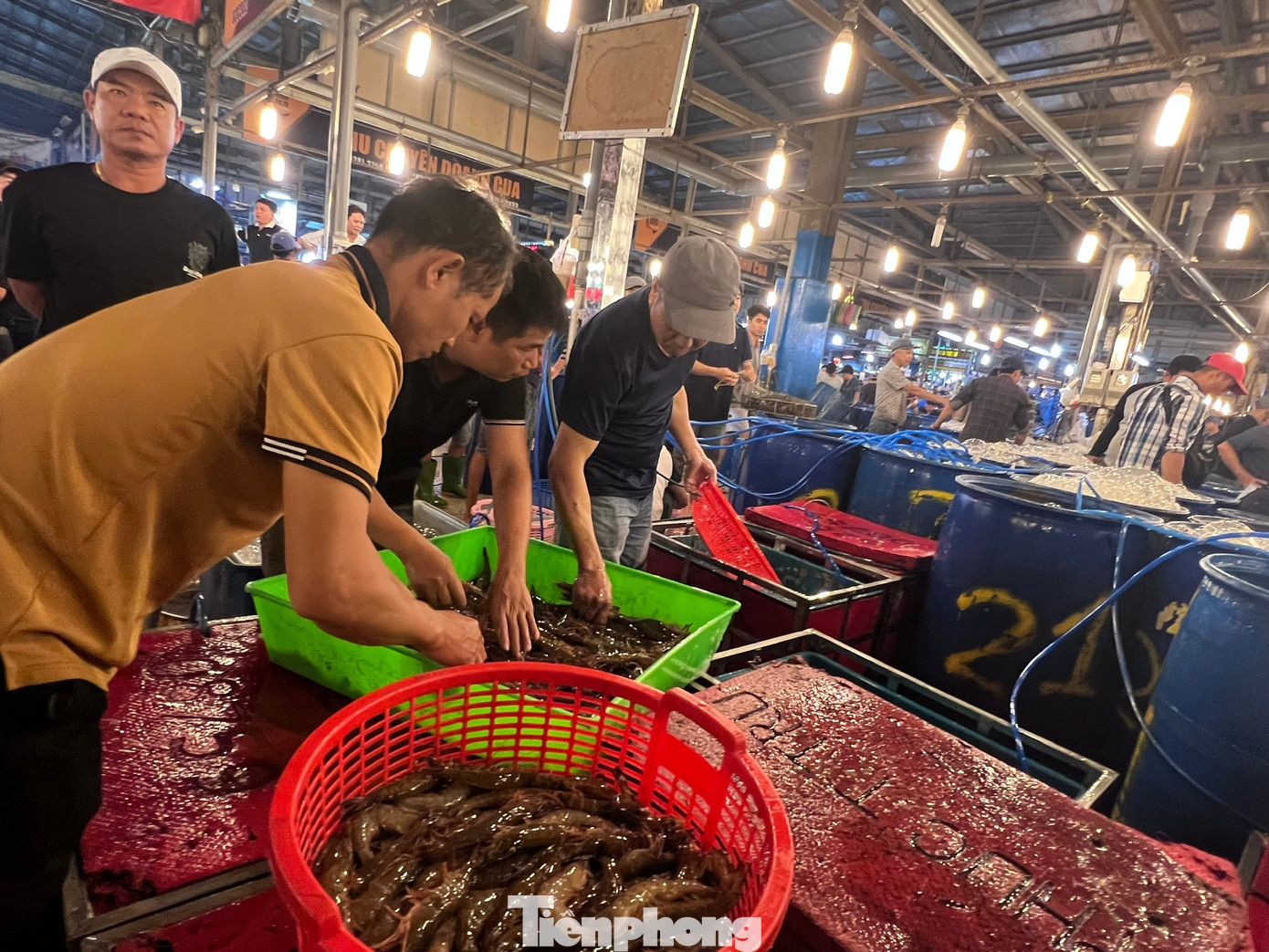 Lạc lối ở chợ đầu mối, săn sản vật 'ngon, size khủng' với gi&aacute; rẻ kh&ocirc;ng tưởng về ăn Tết- Ảnh 9.