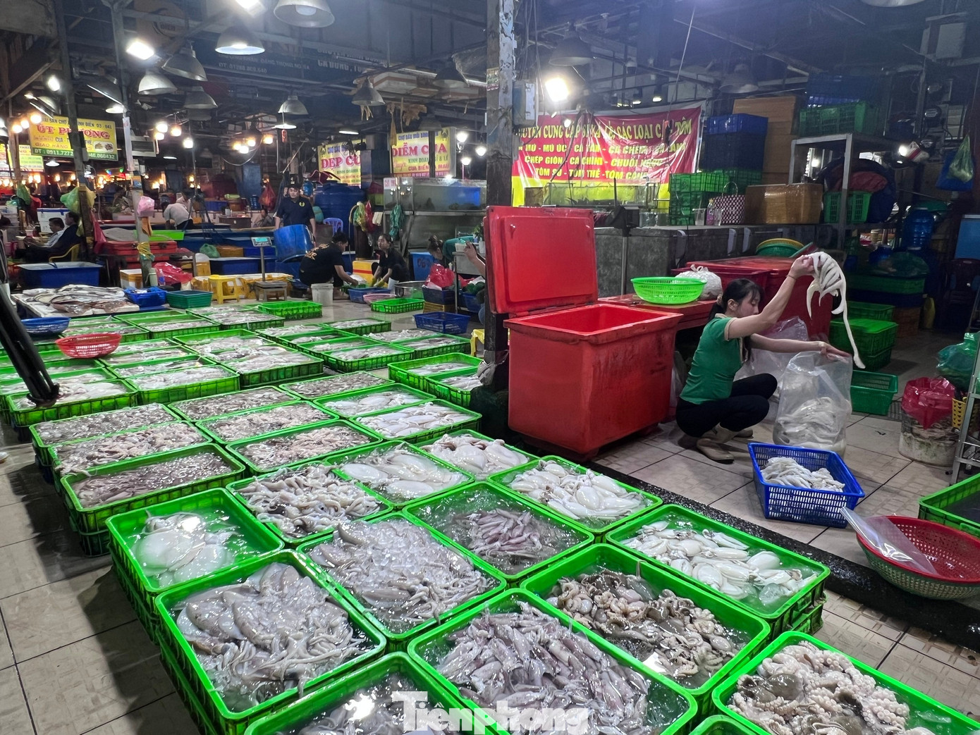 Lạc lối ở chợ đầu mối, săn sản vật 'ngon, size khủng' với gi&aacute; rẻ kh&ocirc;ng tưởng về ăn Tết- Ảnh 6.