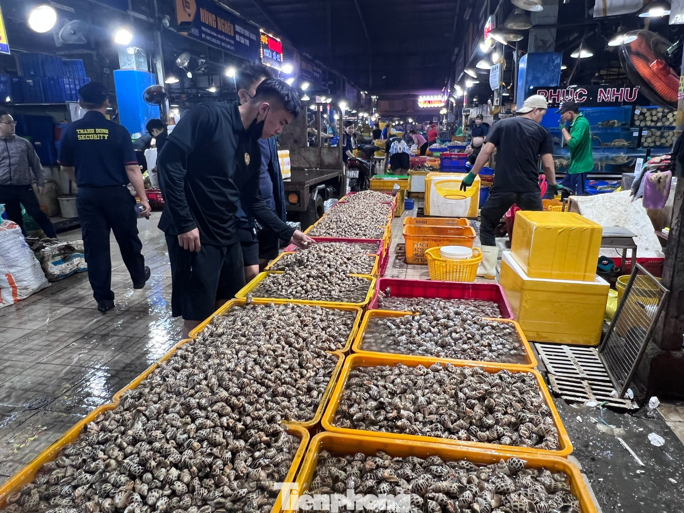 Lạc lối ở chợ đầu mối, săn sản vật 'ngon, size khủng' với gi&aacute; rẻ kh&ocirc;ng tưởng về ăn Tết- Ảnh 12.