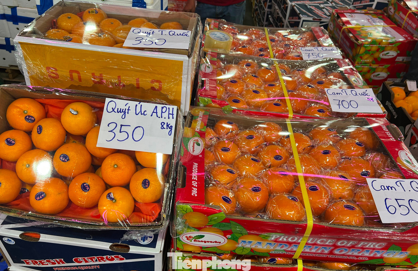 Lạc lối ở chợ đầu mối, săn sản vật 'ngon, size khủng' với gi&aacute; rẻ kh&ocirc;ng tưởng về ăn Tết- Ảnh 21.