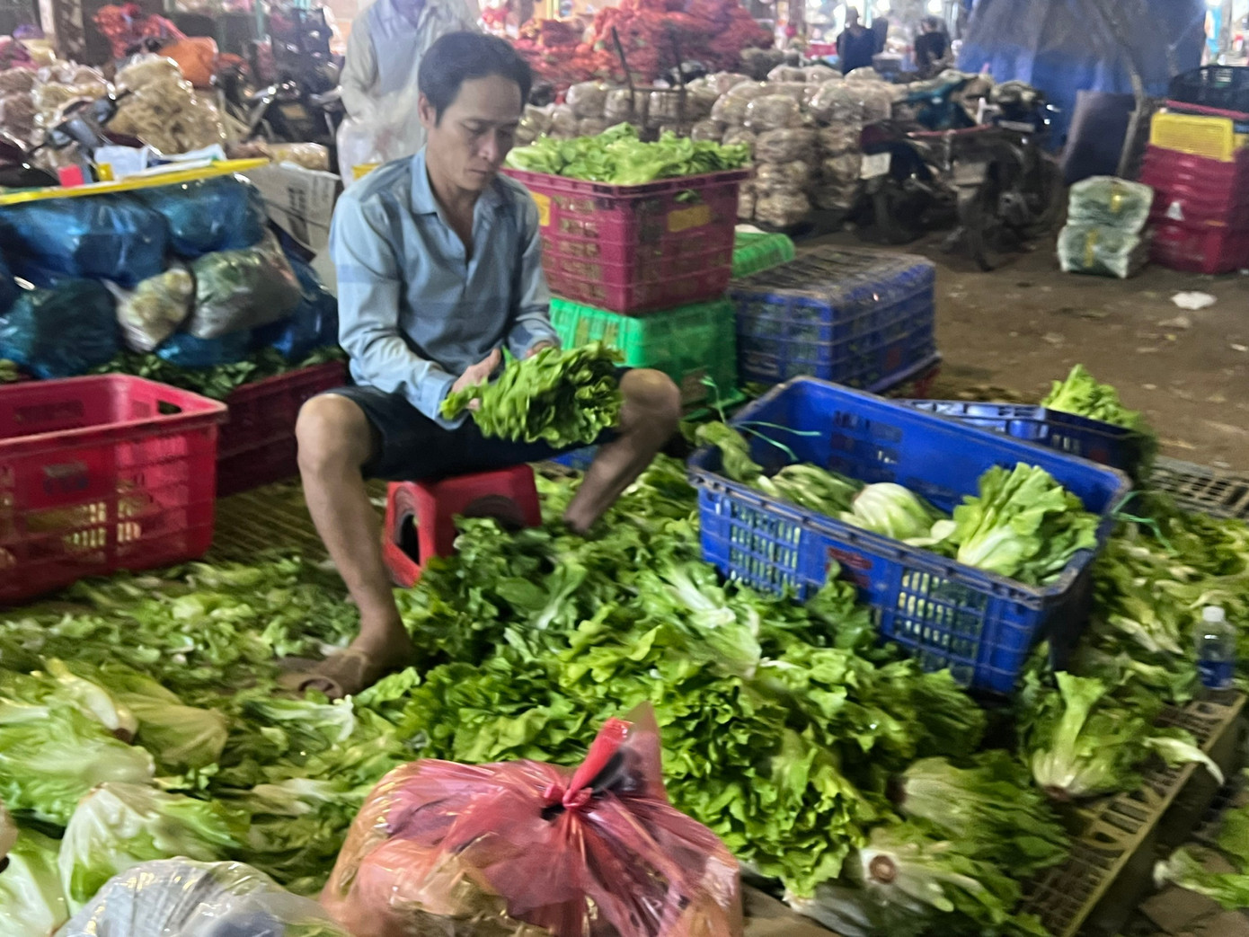 Lạc lối ở chợ đầu mối, săn sản vật 'ngon, size khủng' với gi&aacute; rẻ kh&ocirc;ng tưởng về ăn Tết- Ảnh 26.