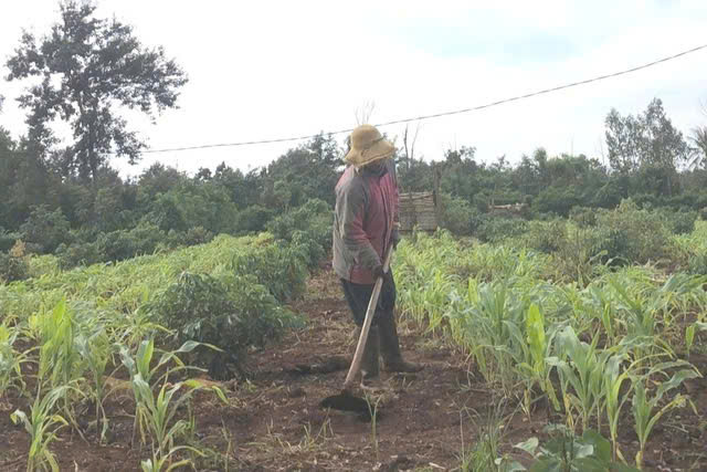 Chưa c&oacute; kinh ph&iacute; bồi thường cho 6 gi&aacute;o vi&ecirc;n thắng kiện hơn 4 năm trước- Ảnh 1.