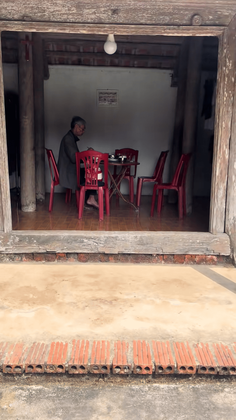 C&acirc;y khế viral TikTok với 3 triệu views, trả 15 triệu chủ nh&agrave; ki&ecirc;n quyết: Kh&ocirc;ng b&aacute;n- Ảnh 1.