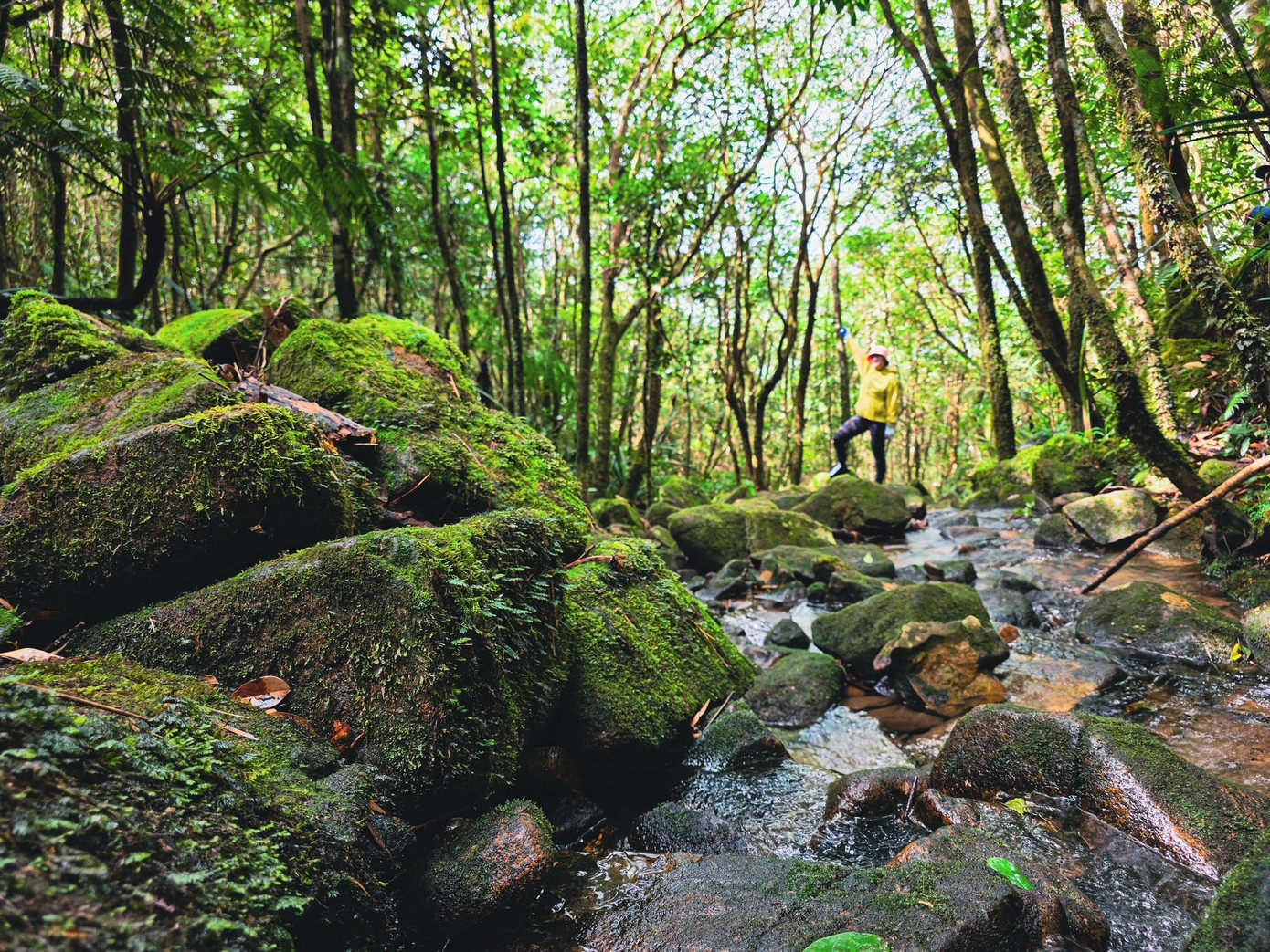 Bồng bềnh m&acirc;y trắng, hoa rừng ở Pa Thi&ecirc;n - Voi Mẹp- Ảnh 3.