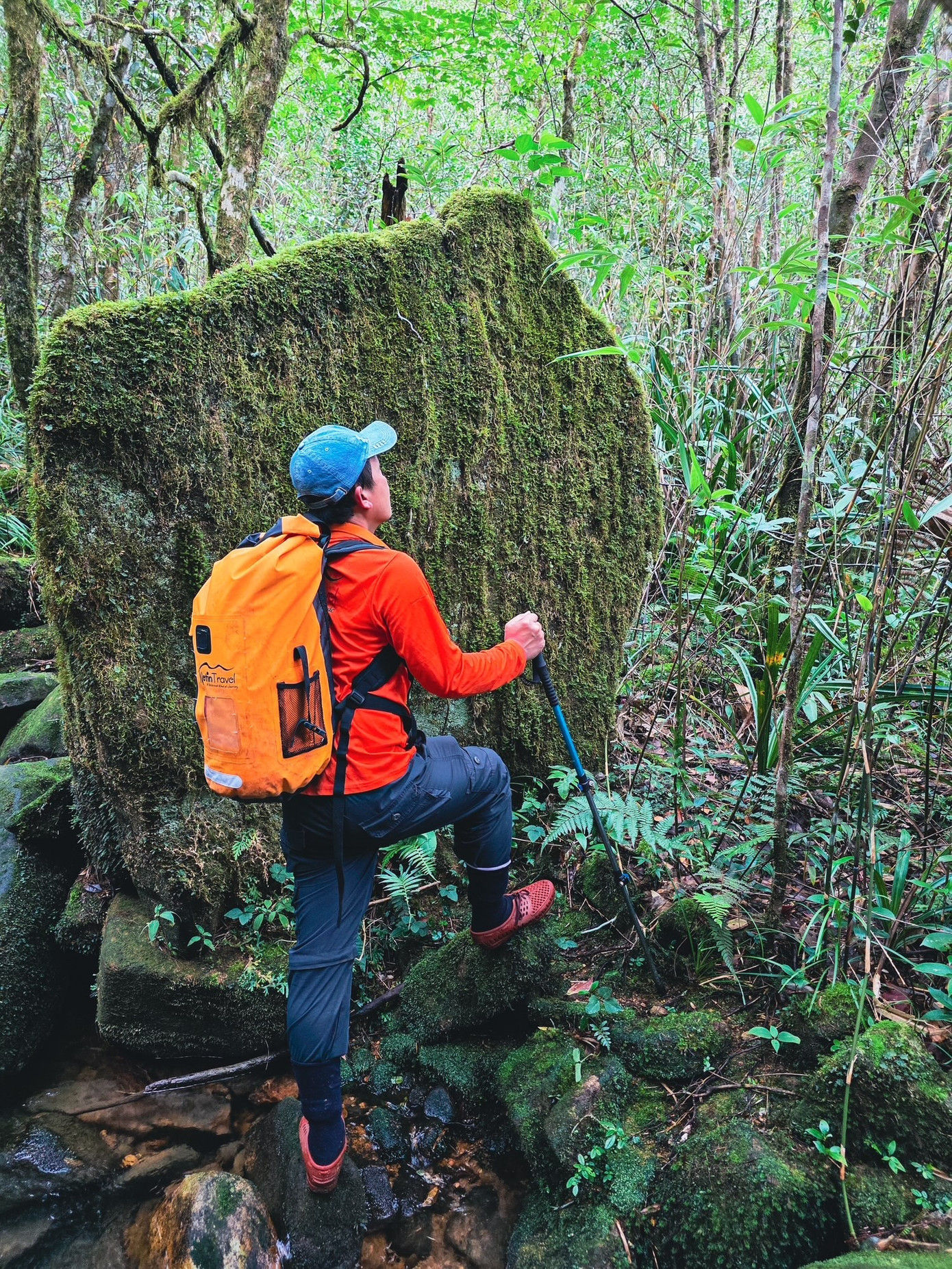 Bồng bềnh m&acirc;y trắng, hoa rừng ở Pa Thi&ecirc;n - Voi Mẹp- Ảnh 15.