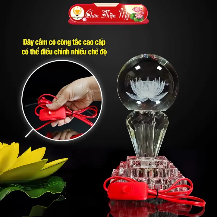 5 m&oacute;n h&agrave;ng 