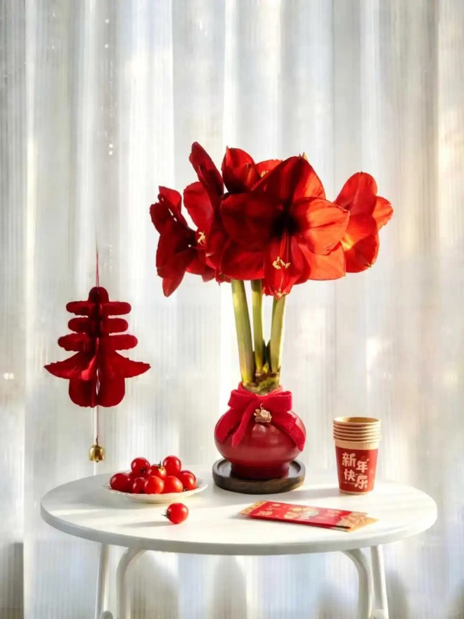 Tết n&agrave;y đừng chỉ chơi đ&agrave;o quất: Thử ngay lo&agrave;i hoa "hệ lười" kh&ocirc;ng cần tưới vẫn nở rực rỡ, t&ecirc;n gọi nghe th&ocirc;i đ&atilde; thấy tiền t&agrave;i tới tấp!- Ảnh 41.