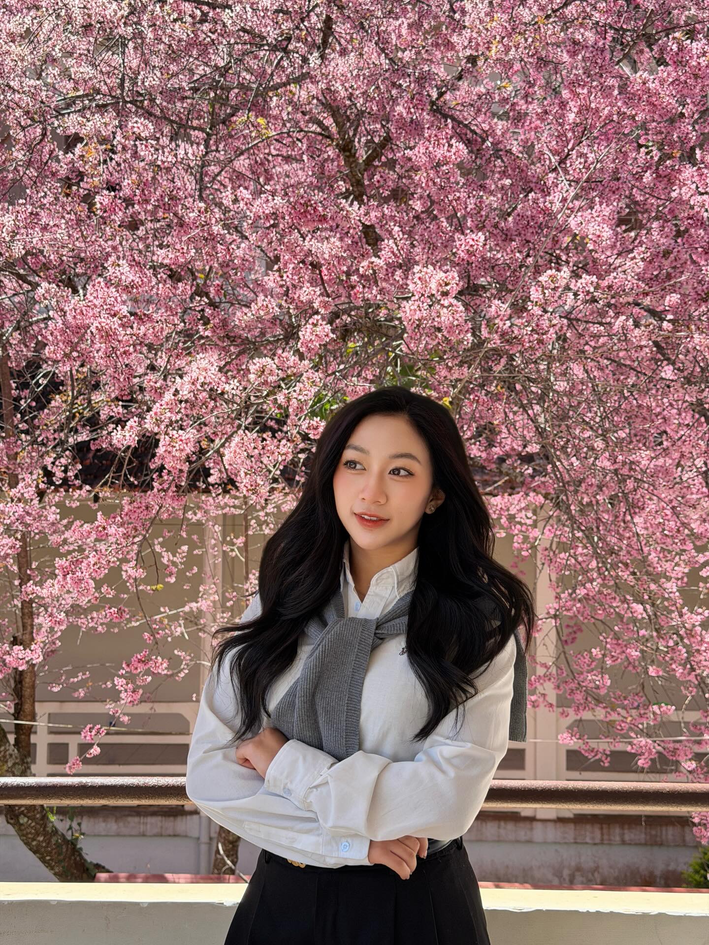 Đang ph&aacute;t đi&ecirc;n v&igrave; hoa mai anh đ&agrave;o Đ&agrave; Lạt!- Ảnh 10.