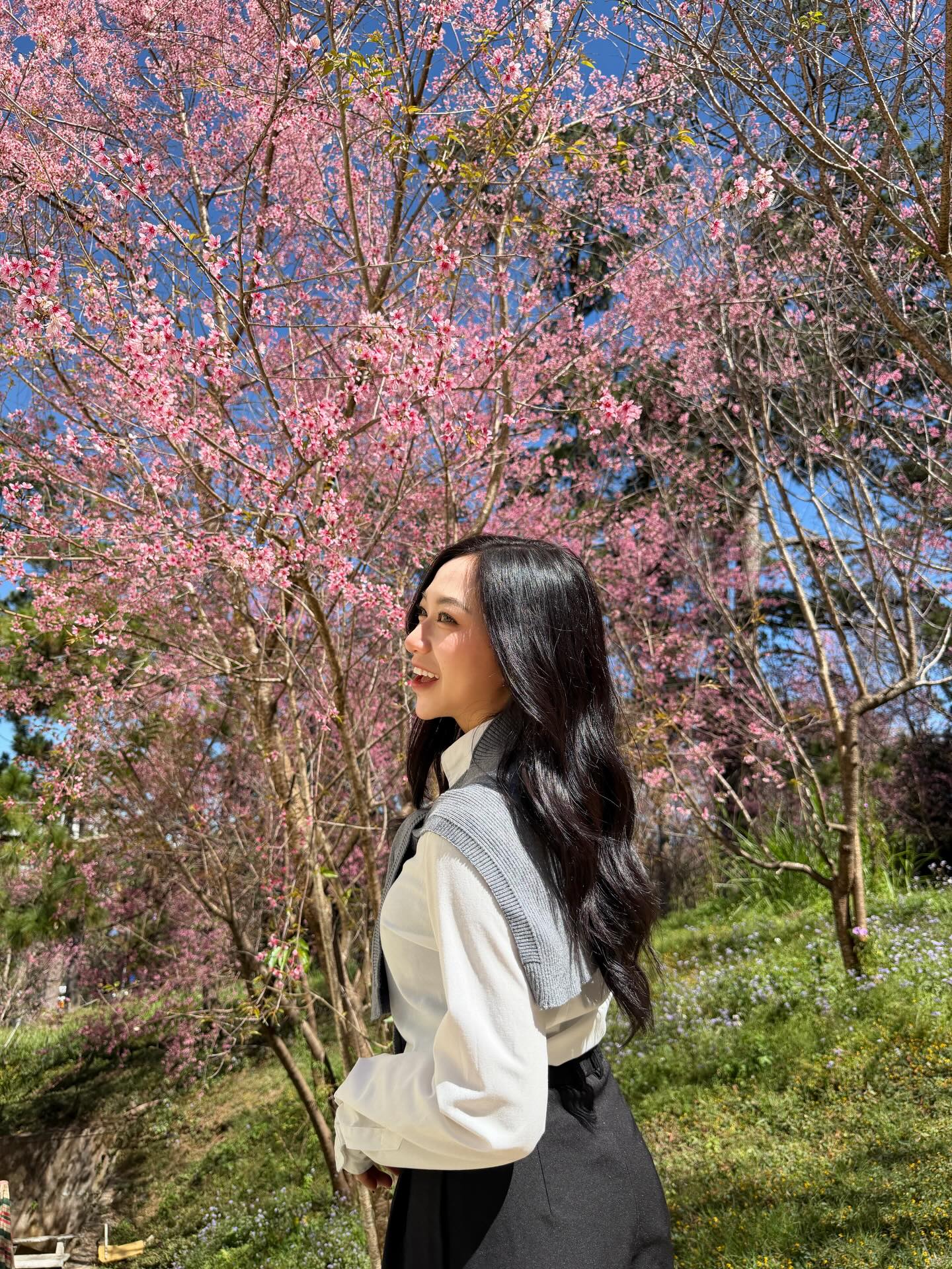 Đang ph&aacute;t đi&ecirc;n v&igrave; hoa mai anh đ&agrave;o Đ&agrave; Lạt!- Ảnh 11.