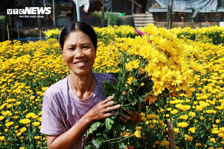 C&aacute;nh đồng hoa c&uacute;c bung sắc v&agrave;ng b&ecirc;n s&ocirc;ng Tr&agrave; Bồng, du kh&aacute;ch nườm nượp check in- Ảnh 5.