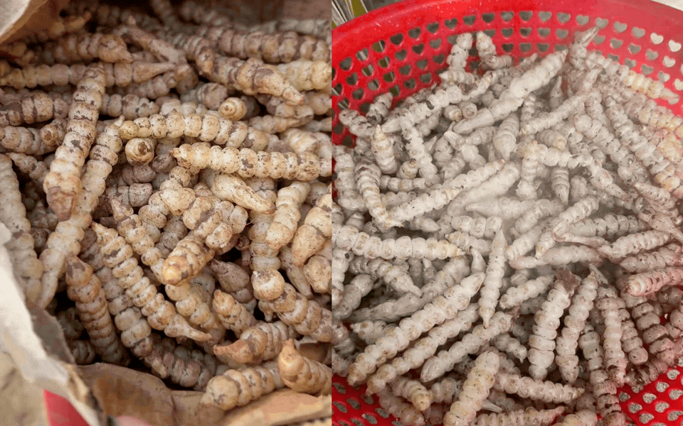 Chi nửa triệu mua rổ "s&acirc;u đất" về trộn gỏi: Tưởng m&agrave;n review kinh dị, ai ngờ th&agrave;nh phẩm khiến 200 ngh&igrave;n người phải "nuốt nước miếng"- Ảnh 2.