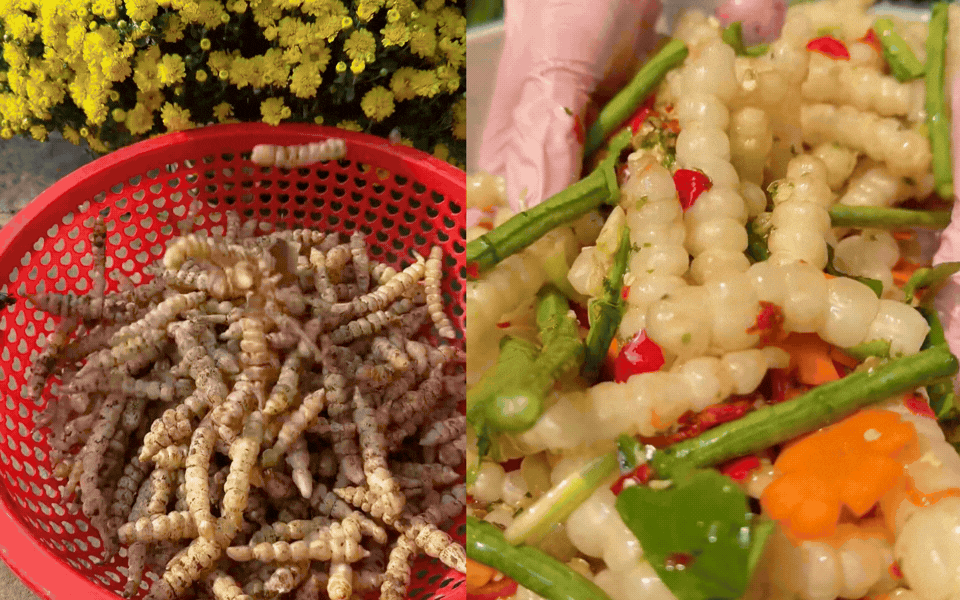 Chi nửa triệu mua rổ "s&acirc;u đất" về trộn gỏi: Tưởng m&agrave;n review kinh dị, ai ngờ th&agrave;nh phẩm khiến 200 ngh&igrave;n người phải "nuốt nước miếng"- Ảnh 1.