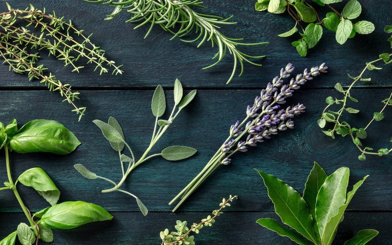 Một số c&acirc;y thảo dược quen thuộc c&oacute; &yacute; nghĩa tốt l&agrave;nh trong phong thủy, được khuy&ecirc;n n&ecirc;n trồng trong năm B&iacute;nh Ngọ (Ảnh minh họa).