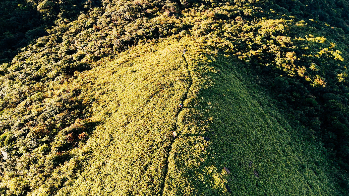 Bồng bềnh m&acirc;y trắng, hoa rừng ở Pa Thi&ecirc;n - Voi Mẹp- Ảnh 13.