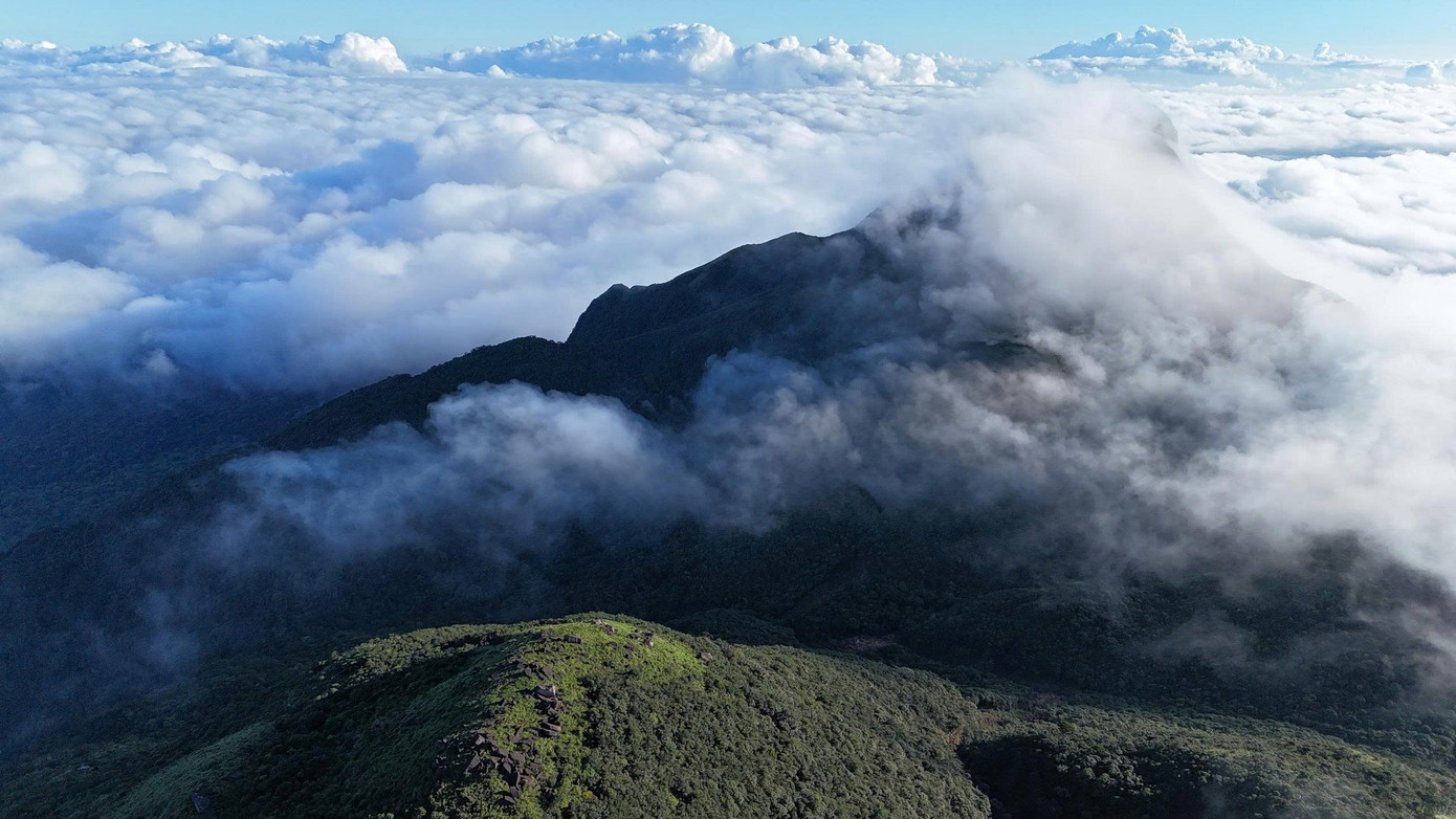 Bồng bềnh m&acirc;y trắng, hoa rừng ở Pa Thi&ecirc;n - Voi Mẹp- Ảnh 19.