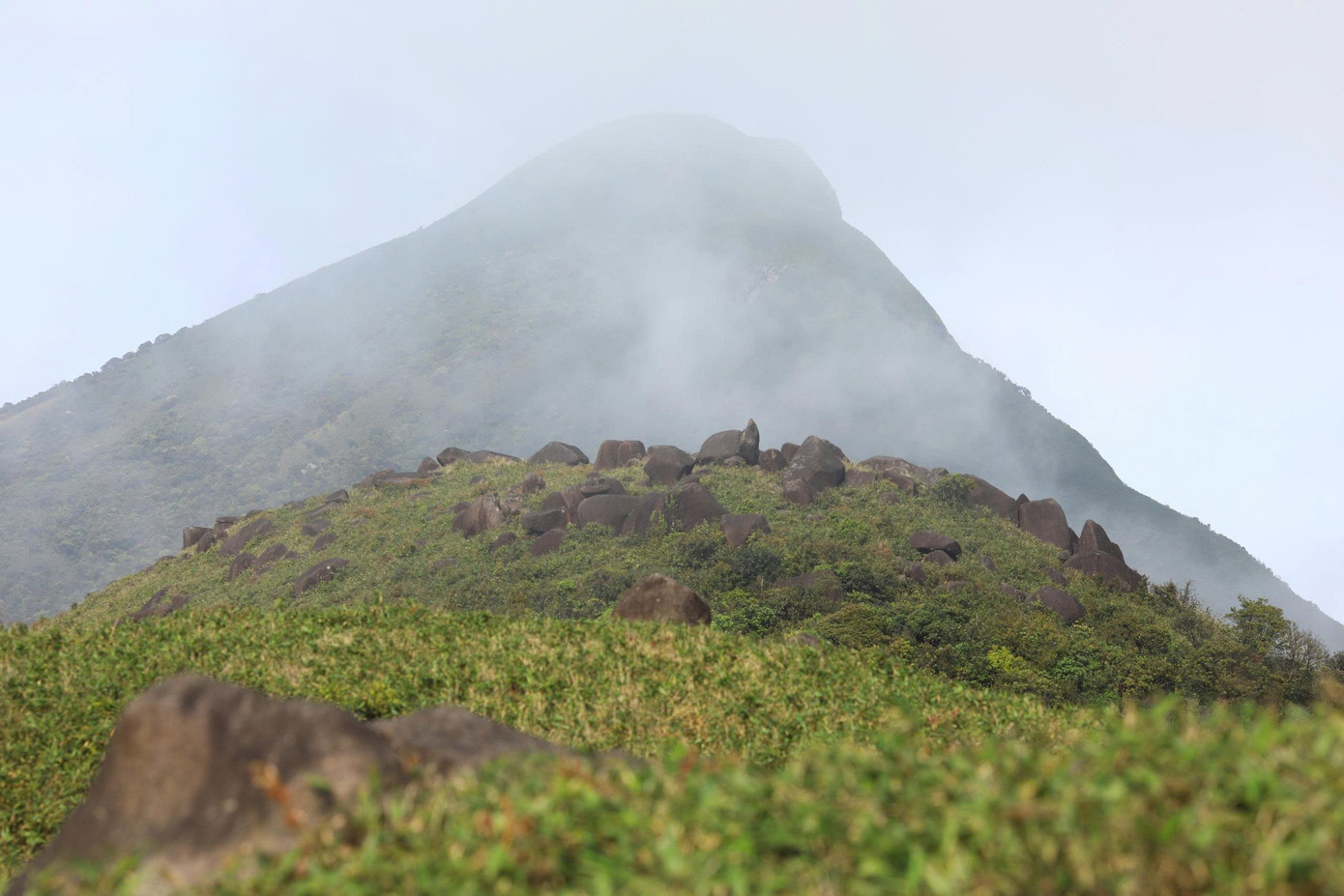 Bồng bềnh m&acirc;y trắng, hoa rừng ở Pa Thi&ecirc;n - Voi Mẹp- Ảnh 1.