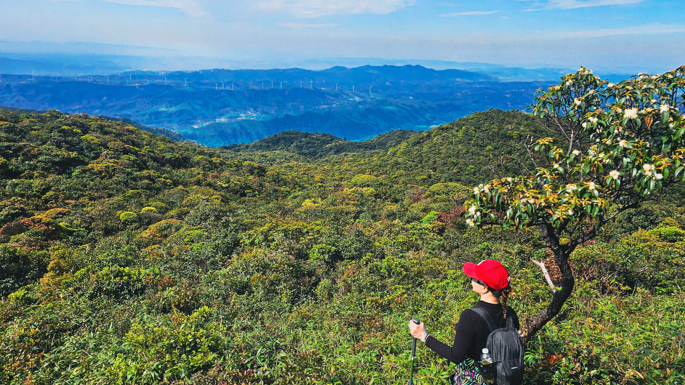 Bồng bềnh m&acirc;y trắng, hoa rừng ở Pa Thi&ecirc;n - Voi Mẹp- Ảnh 17.