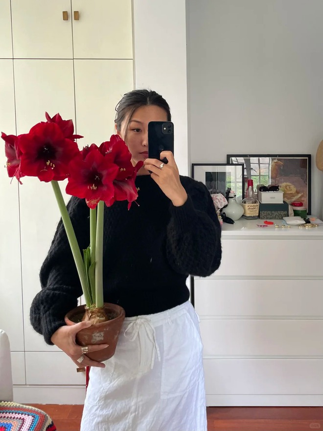 Tết n&agrave;y đừng chỉ chơi đ&agrave;o quất: Thử ngay lo&agrave;i hoa "hệ lười" kh&ocirc;ng cần tưới vẫn nở rực rỡ, t&ecirc;n gọi nghe th&ocirc;i đ&atilde; thấy tiền t&agrave;i tới tấp!- Ảnh 8.