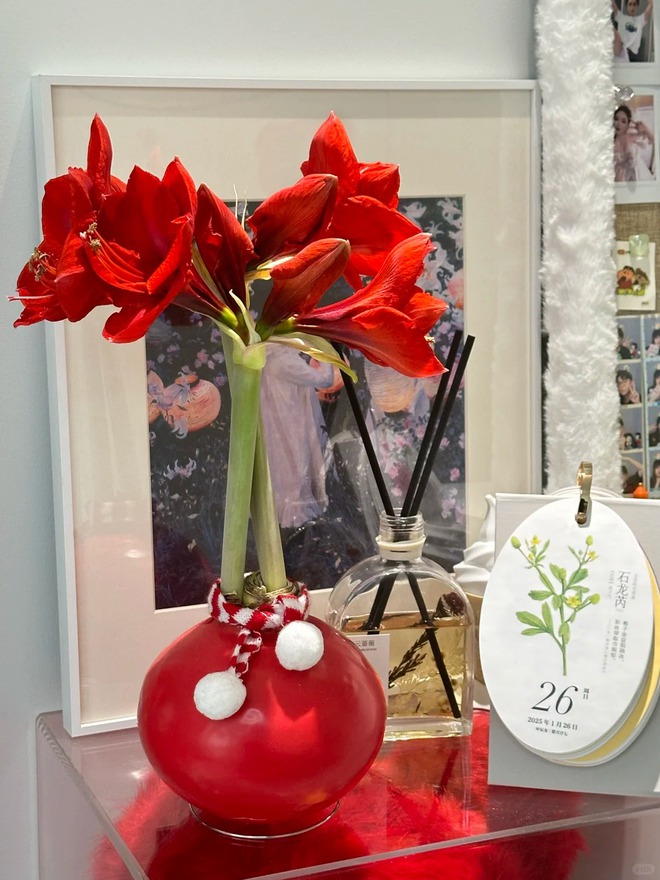 Tết n&agrave;y đừng chỉ chơi đ&agrave;o quất: Thử ngay lo&agrave;i hoa "hệ lười" kh&ocirc;ng cần tưới vẫn nở rực rỡ, t&ecirc;n gọi nghe th&ocirc;i đ&atilde; thấy tiền t&agrave;i tới tấp!- Ảnh 33.