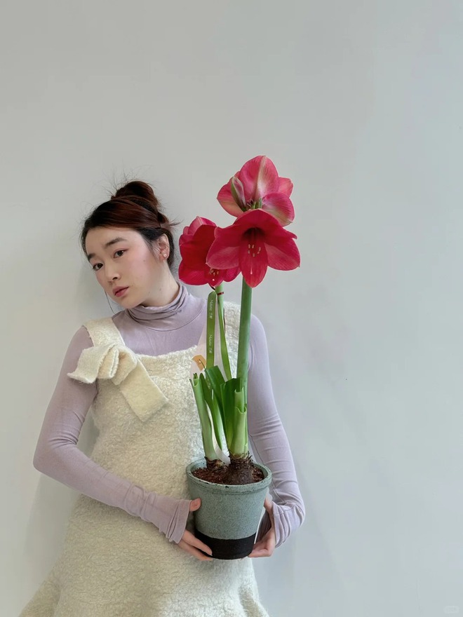 Tết n&agrave;y đừng chỉ chơi đ&agrave;o quất: Thử ngay lo&agrave;i hoa "hệ lười" kh&ocirc;ng cần tưới vẫn nở rực rỡ, t&ecirc;n gọi nghe th&ocirc;i đ&atilde; thấy tiền t&agrave;i tới tấp!- Ảnh 5.